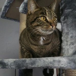 Meet your Posher, Shay